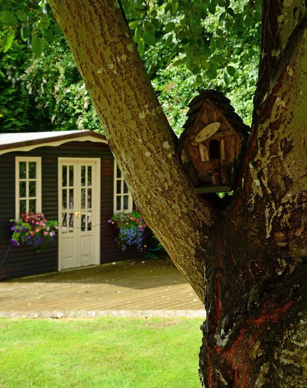 Ashbrook Bed And Breakfast Llandudno Luaran gambar